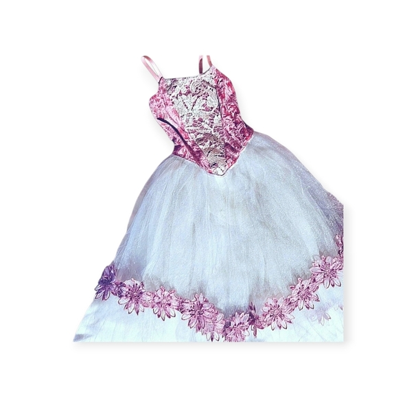 Revolution Velvet, Lace, Tulle, & Sequins Long Tutu Ballet Dress w/ Floral Trim - Picture 1 of 6